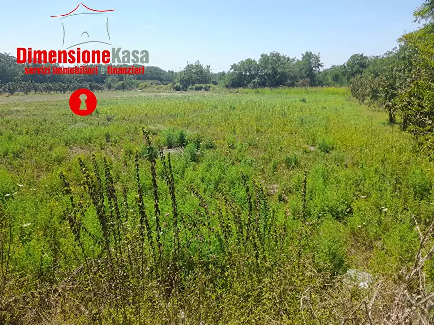 Immagine 2 di Terreno agricolo in vendita  in via caserta 51 a Cicciano