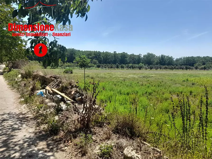 Immagine 4 di Terreno agricolo in vendita  in via caserta 51 a Cicciano