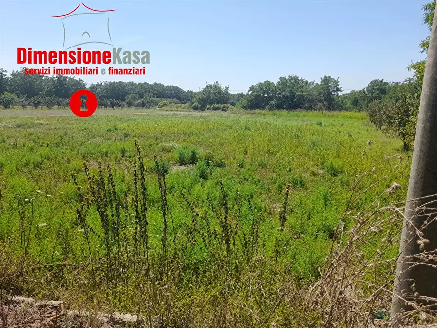Immagine 5 di Terreno agricolo in vendita  in via caserta 51 a Cicciano