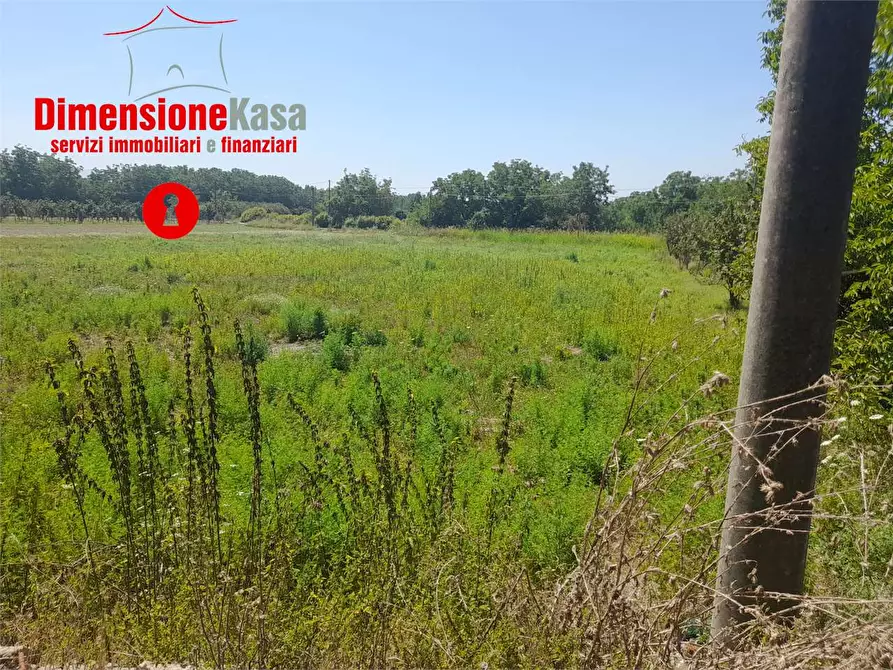 Immagine 6 di Terreno agricolo in vendita  in via caserta 51 a Cicciano