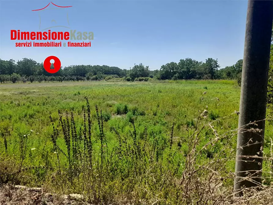 Immagine 7 di Terreno agricolo in vendita  in via caserta 51 a Cicciano