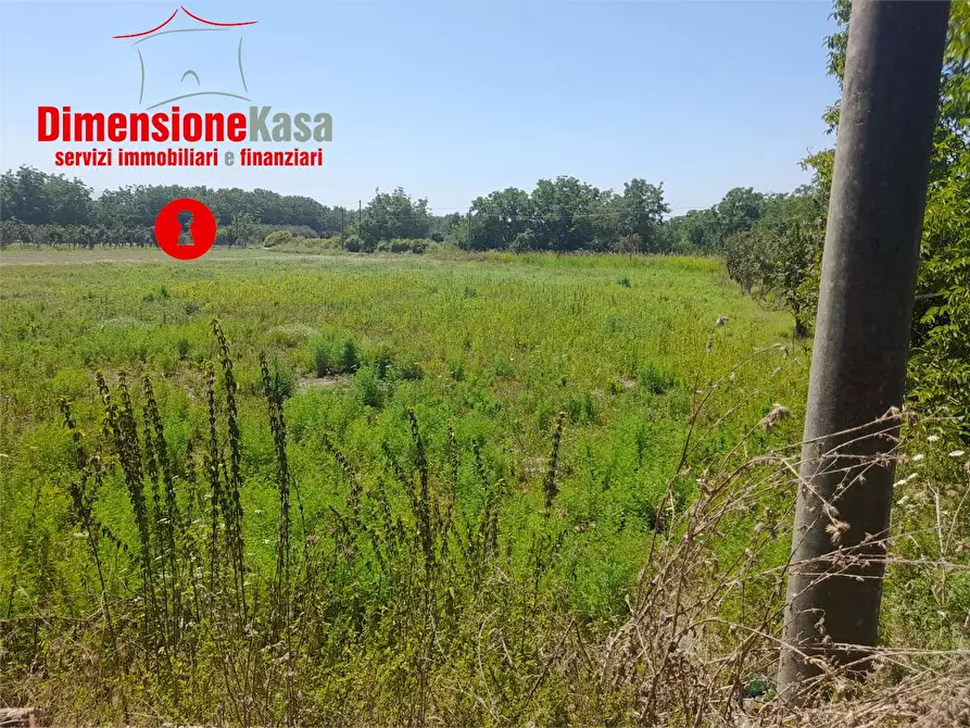 Immagine 8 di Terreno agricolo in vendita  in via caserta 51 a Cicciano