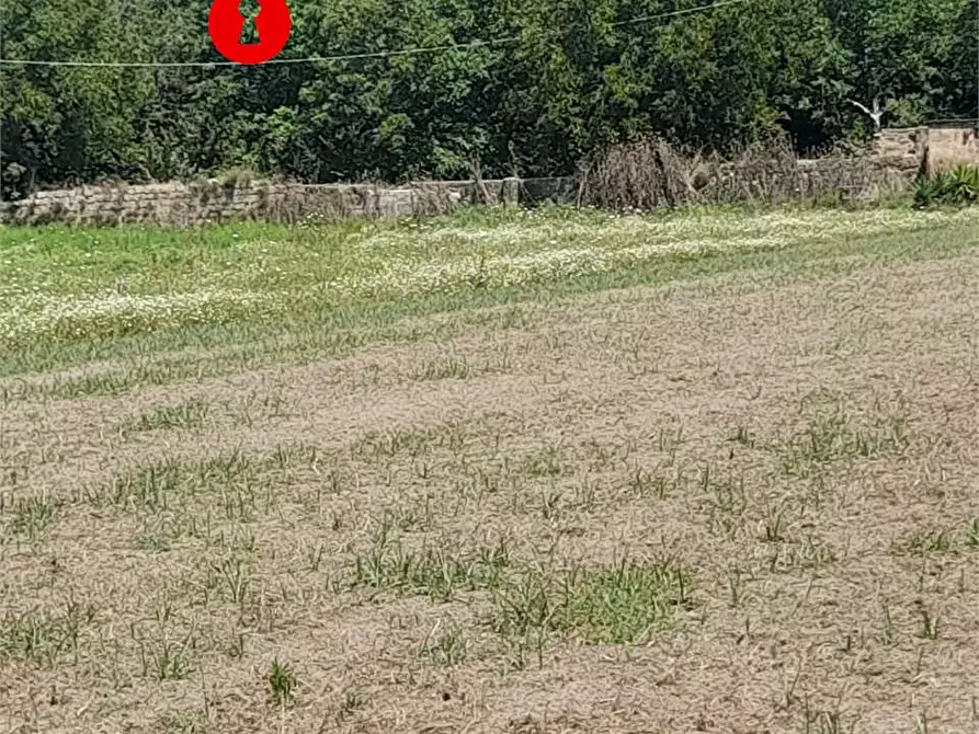 Immagine 10 di Terreno agricolo in vendita  in via caserta 51 a Cicciano