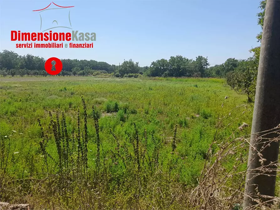 Immagine 12 di Terreno agricolo in vendita  in via caserta 51 a Cicciano