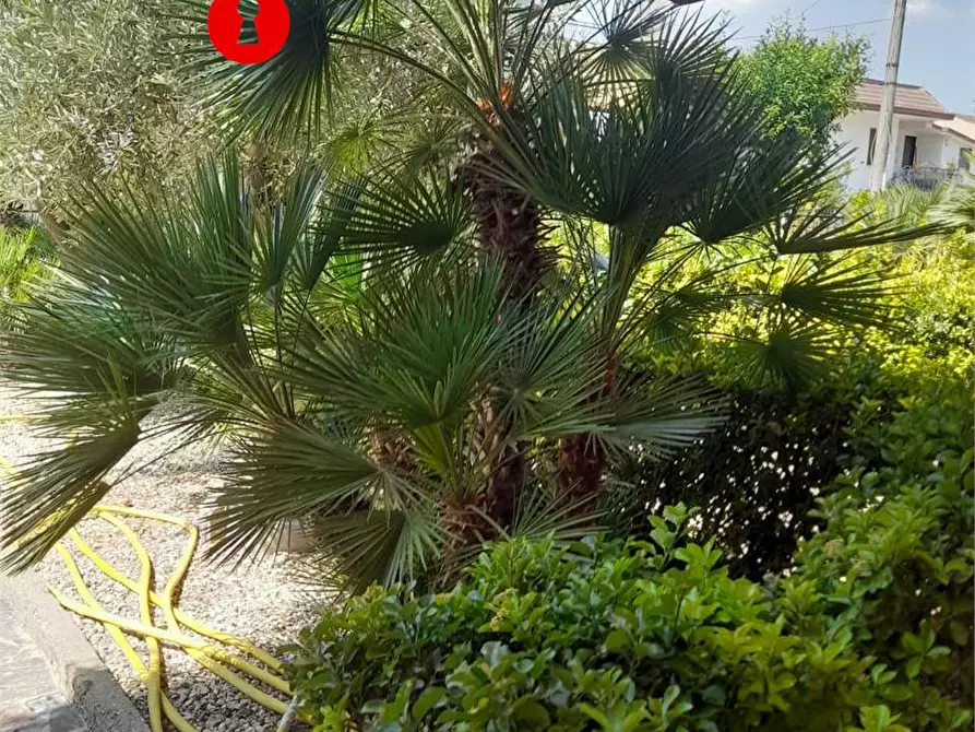 Immagine 51 di Villa in vendita  in Via  Barracco 77 a San Felice A Cancello