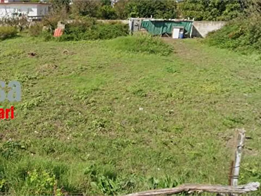 Immagine 7 di Terreno agricolo in vendita  in via San Paolino a Saviano