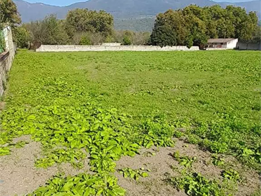 Immagine 1 di Terreno agricolo in vendita  in Via Benevento a Cicciano