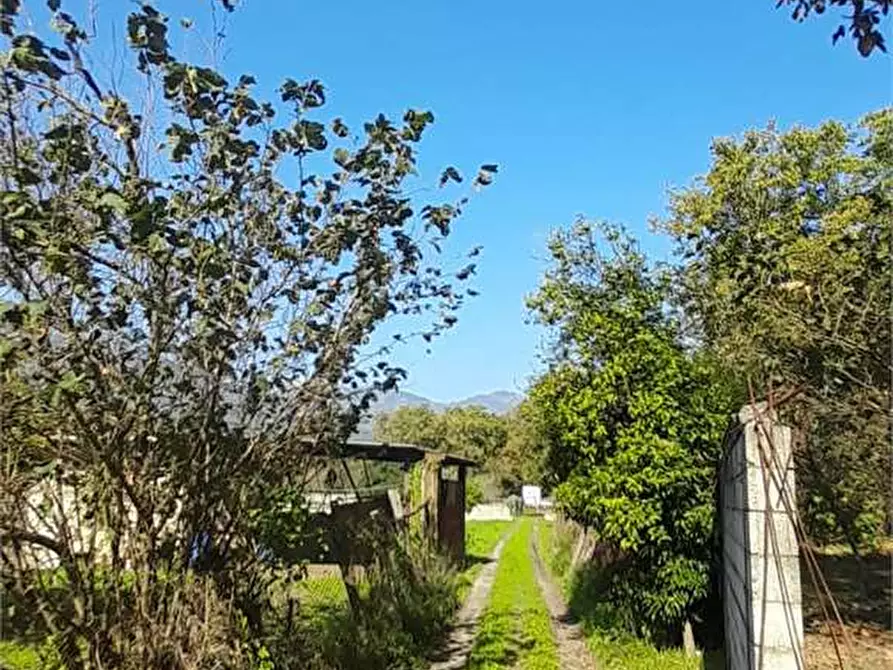 Immagine 2 di Terreno agricolo in vendita  in Via Benevento a Cicciano