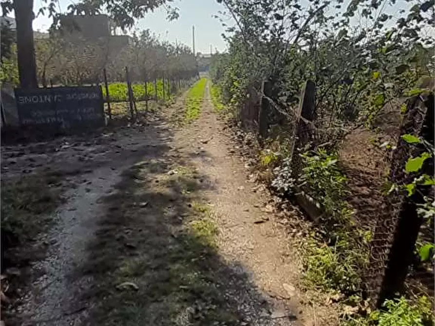 Immagine 4 di Terreno agricolo in vendita  in Via Benevento a Cicciano