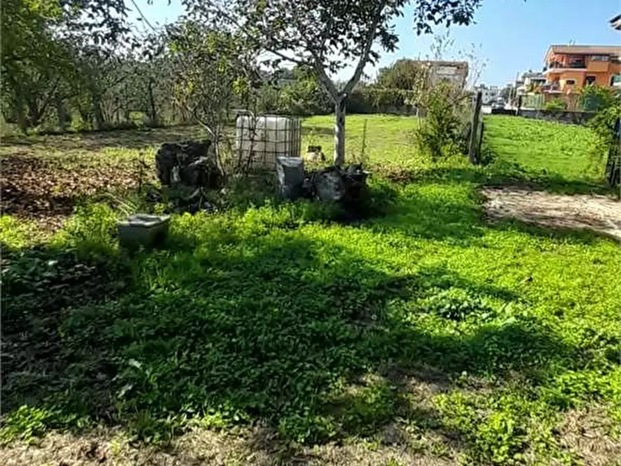 Immagine 5 di Terreno agricolo in vendita  in Via Benevento a Cicciano