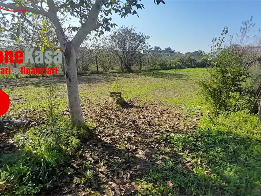 Immagine 9 di Terreno agricolo in vendita  in Via Benevento a Cicciano
