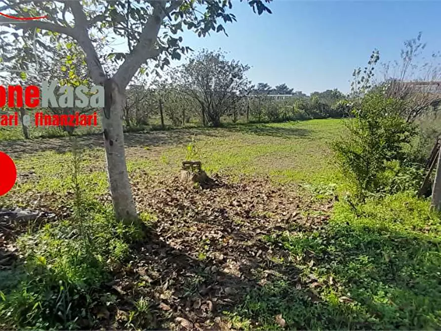 Immagine 10 di Terreno agricolo in vendita  in Via Benevento a Cicciano