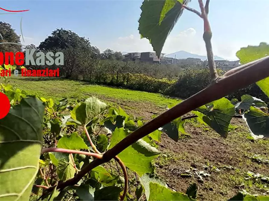 Immagine 11 di Terreno agricolo in vendita  in Via Benevento a Cicciano