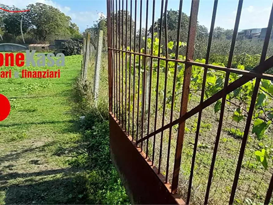 Immagine 12 di Terreno agricolo in vendita  in Via Benevento a Cicciano