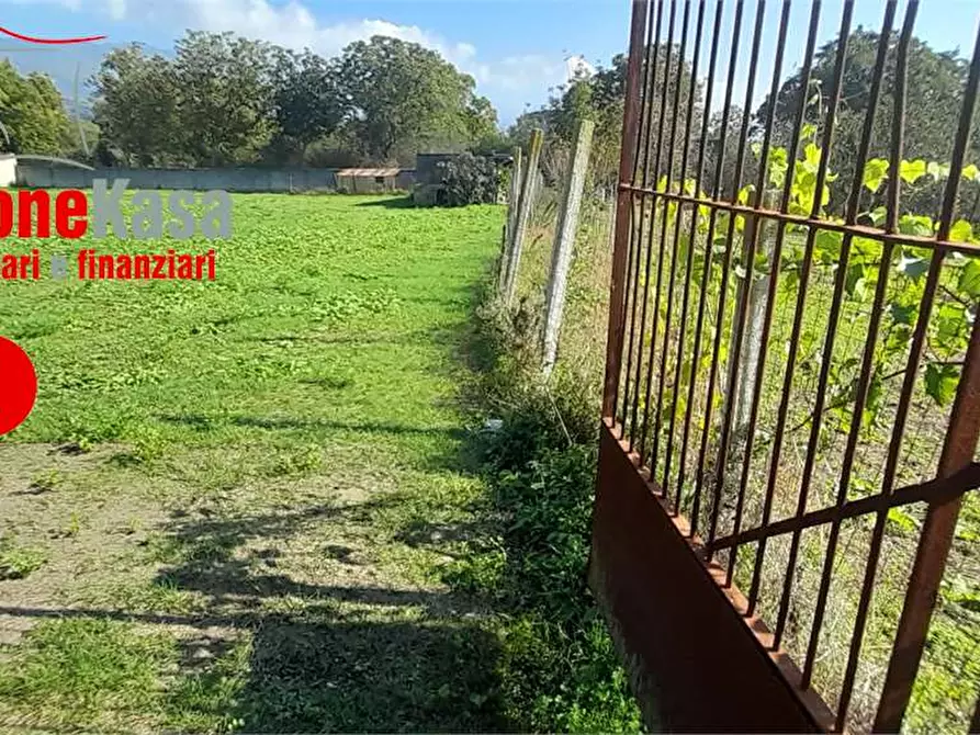 Immagine 13 di Terreno agricolo in vendita  in Via Benevento a Cicciano