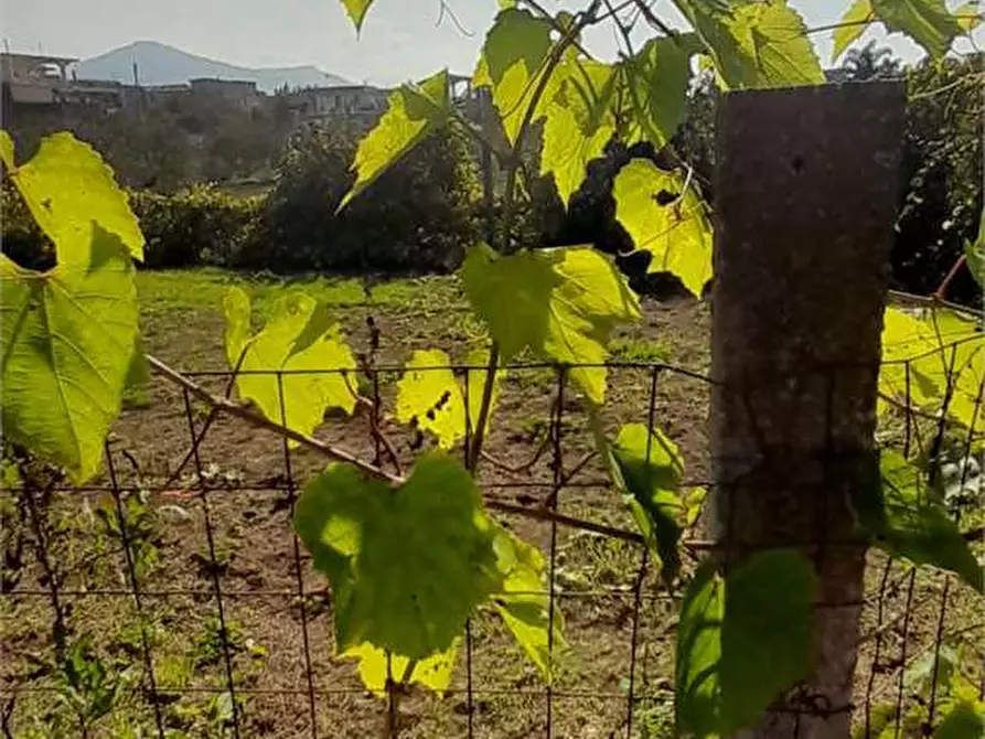 Immagine 14 di Terreno agricolo in vendita  in Via Benevento a Cicciano