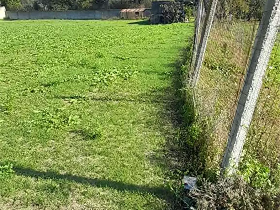 Immagine 15 di Terreno agricolo in vendita  in Via Benevento a Cicciano