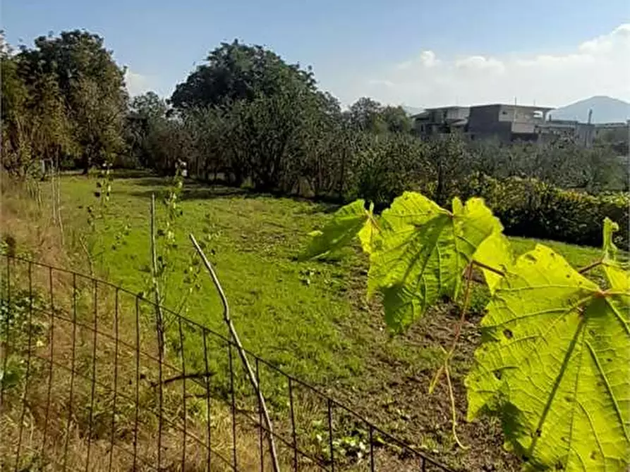 Immagine 16 di Terreno agricolo in vendita  in Via Benevento a Cicciano