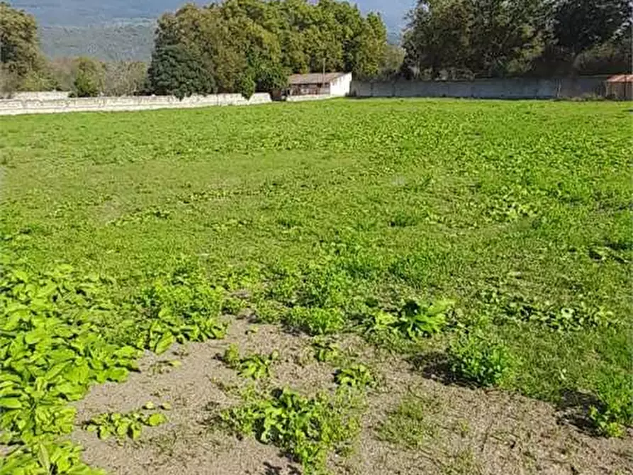 Immagine 18 di Terreno agricolo in vendita  in Via Benevento a Cicciano