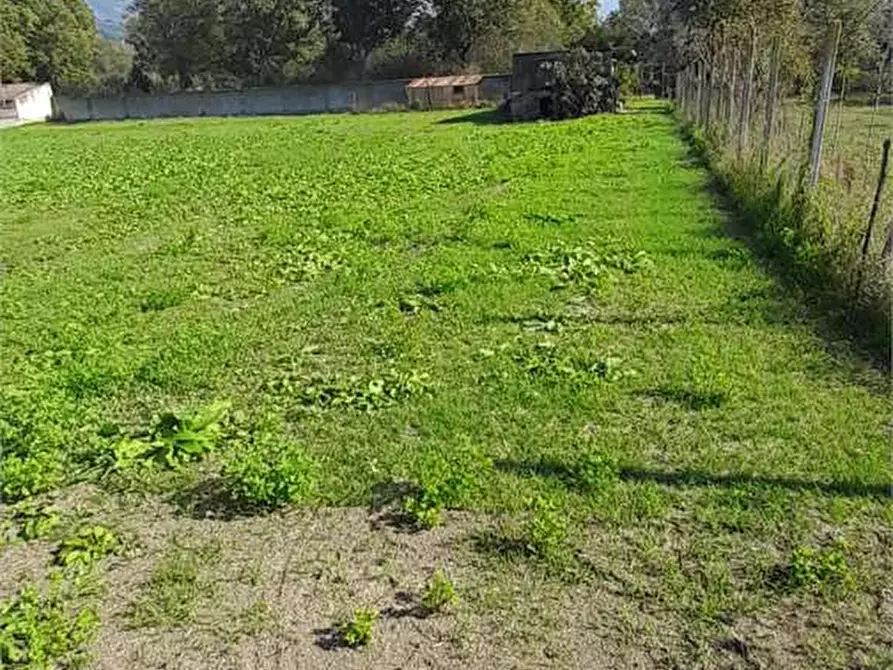 Immagine 19 di Terreno agricolo in vendita  in Via Benevento a Cicciano
