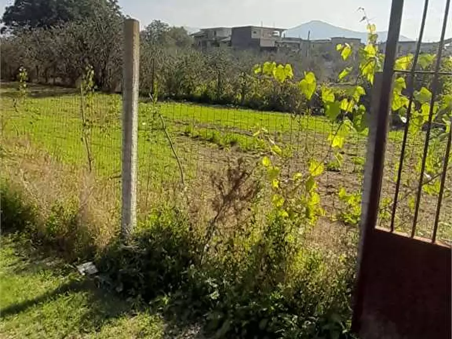 Immagine 20 di Terreno agricolo in vendita  in Via Benevento a Cicciano