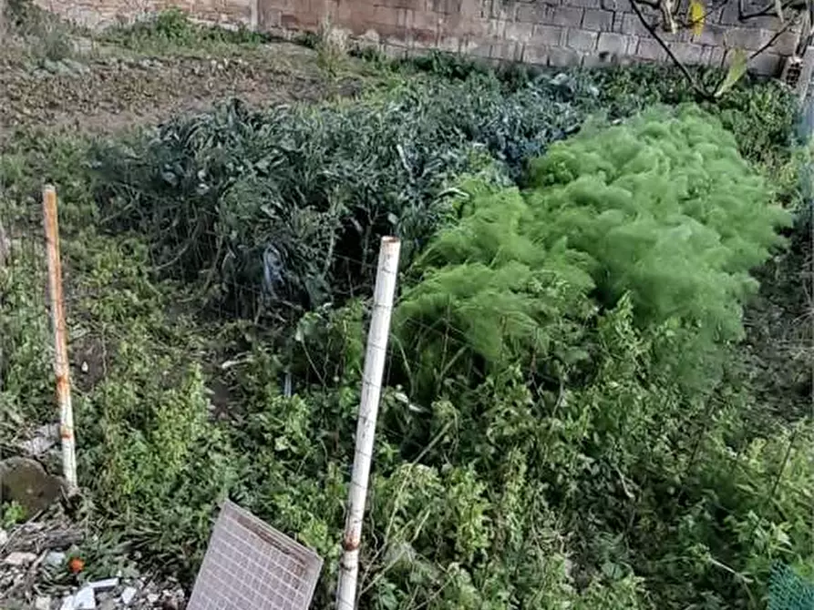 Immagine 32 di Porzione di casa in vendita  in via san pietro a San Felice A Cancello