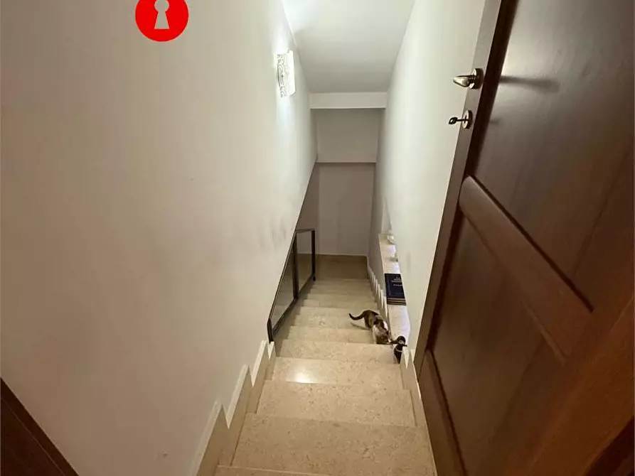 Immagine 20 di Villa in affitto  in via nazionale delle puglie 155 a Nola