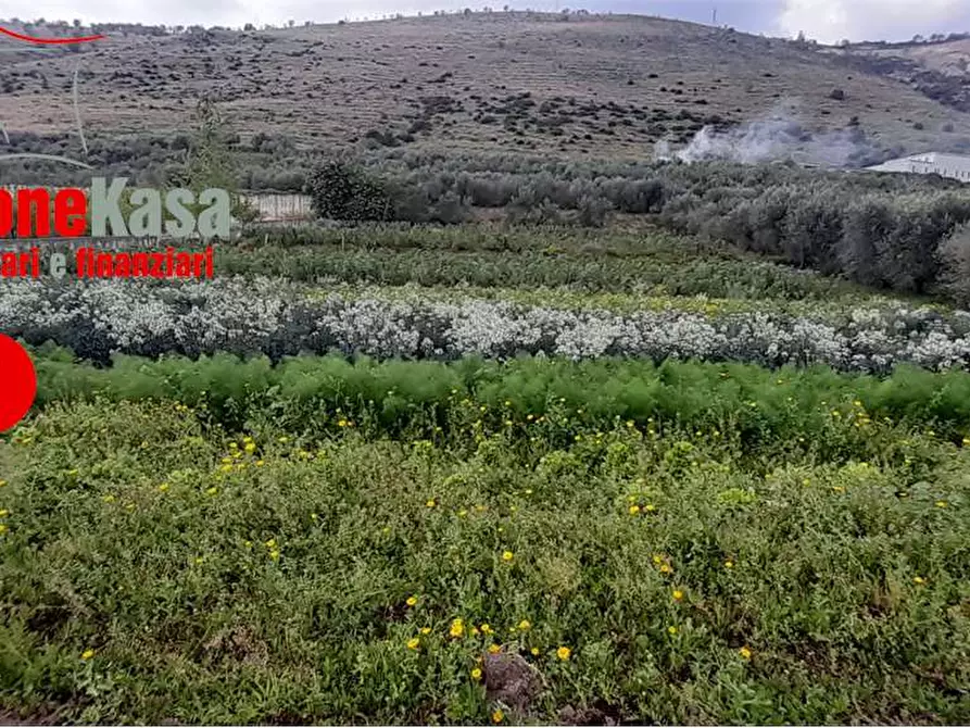 Immagine 1 di Terreno agricolo in vendita  in Via Polvica a San Felice A Cancello