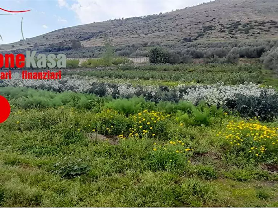 Immagine 6 di Terreno agricolo in vendita  in Via Polvica a San Felice A Cancello