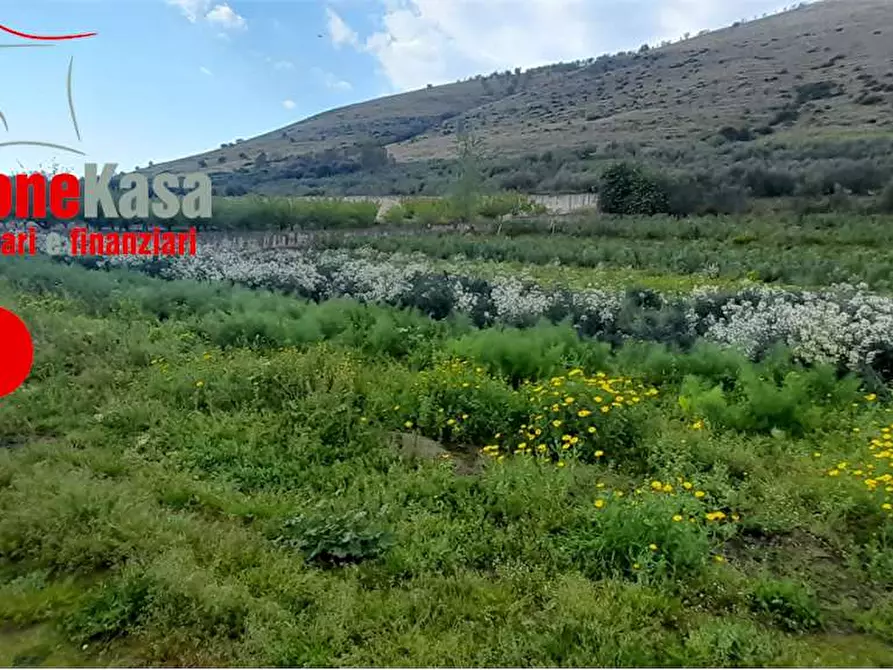 Immagine 8 di Terreno agricolo in vendita  in Via Polvica a San Felice A Cancello
