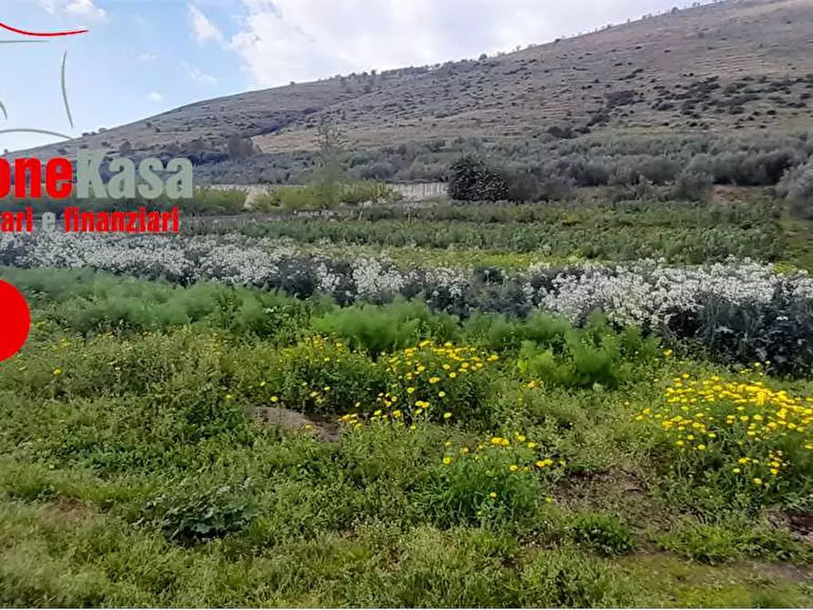 Immagine 10 di Terreno agricolo in vendita  in Via Polvica a San Felice A Cancello