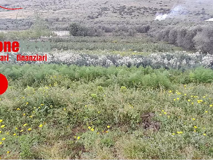 Immagine 12 di Terreno agricolo in vendita  in Via Polvica a San Felice A Cancello