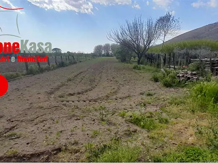 Immagine 19 di Terreno agricolo in vendita  in Via Polvica a San Felice A Cancello