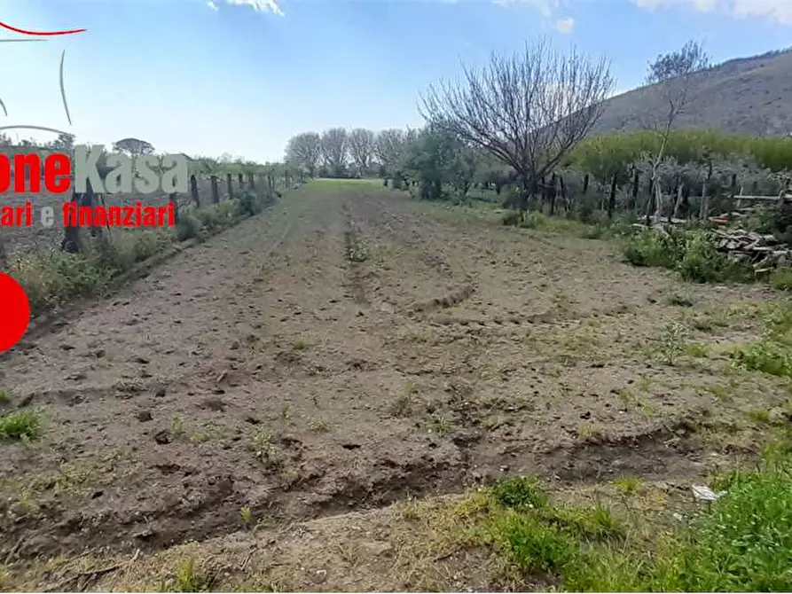 Immagine 22 di Terreno agricolo in vendita  in Via Polvica a San Felice A Cancello