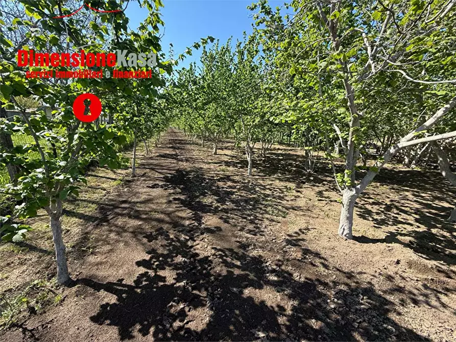 Immagine 8 di Terreno agricolo in vendita  in via boscofangone a Nola