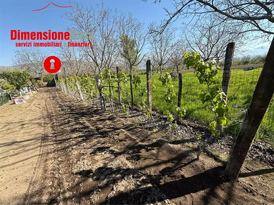 Immagine 6 di Terreno agricolo in vendita  in via boscofangone a Nola