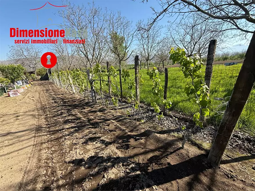 Immagine 4 di Terreno agricolo in vendita  in via boscofangone a Nola