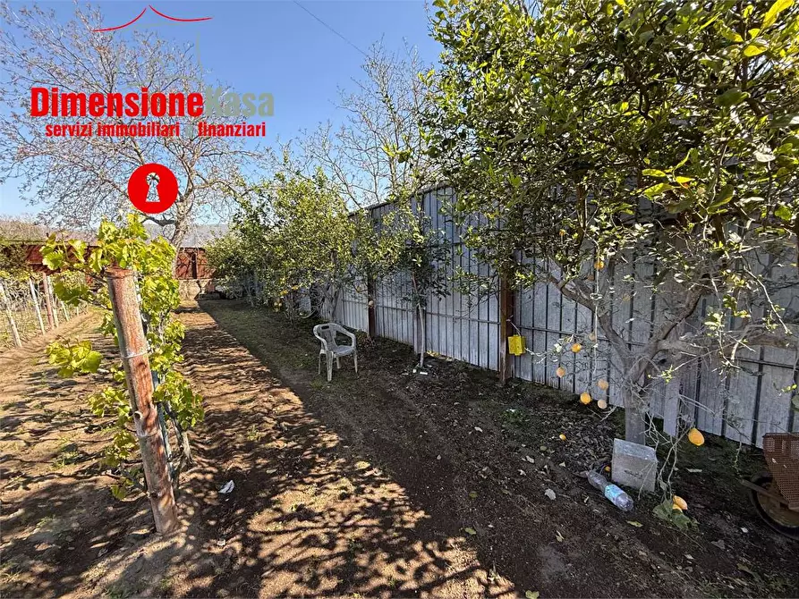 Immagine 10 di Terreno agricolo in vendita  in via boscofangone a Nola