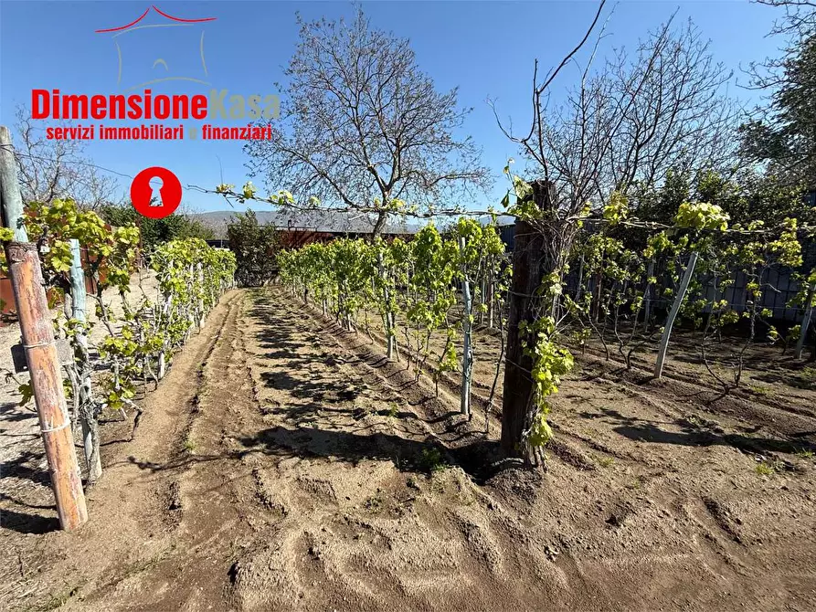 Immagine 3 di Terreno agricolo in vendita  in via boscofangone a Nola