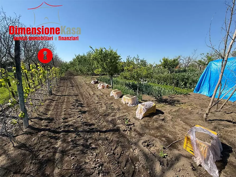 Immagine 2 di Terreno agricolo in vendita  in via boscofangone a Nola