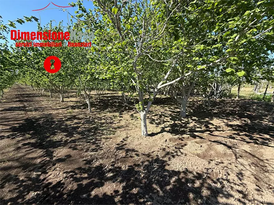 Immagine 9 di Terreno agricolo in vendita  in via boscofangone a Nola