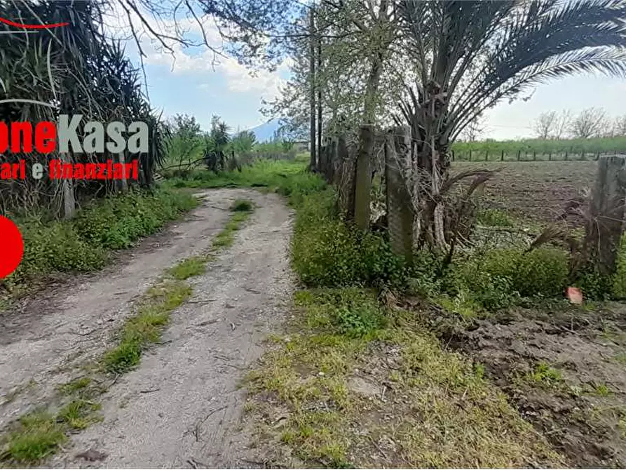 Immagine 2 di Terreno agricolo in vendita  in Via Polvica a Acerra