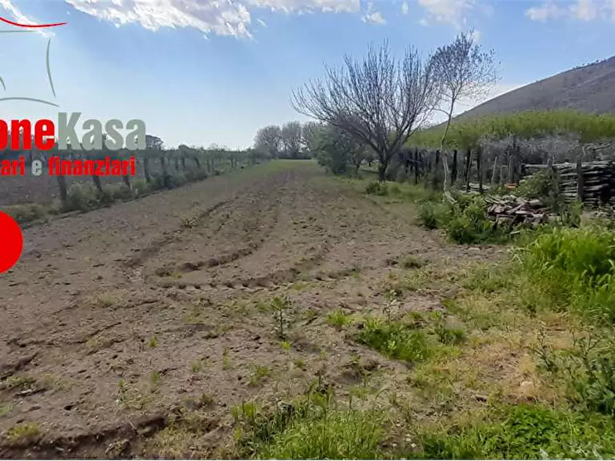 Immagine 4 di Terreno agricolo in vendita  in Via Polvica a Acerra
