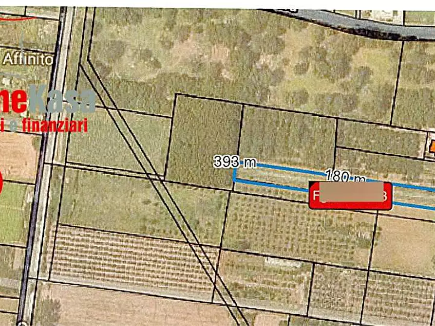 Immagine 10 di Terreno agricolo in vendita  in Via Polvica a Acerra