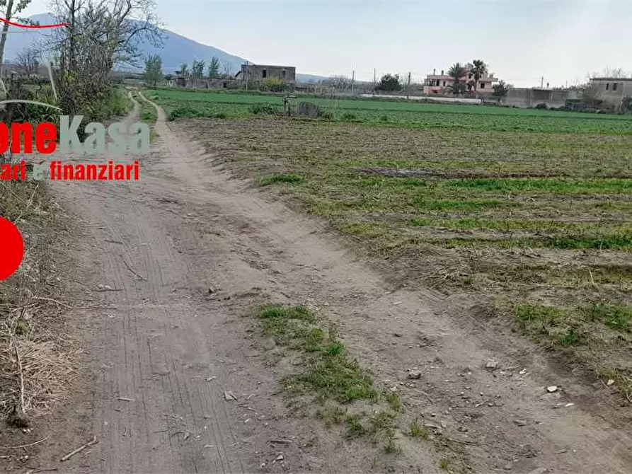 terreno agricolo in vendita ad Acerra in zona Pezzalunga