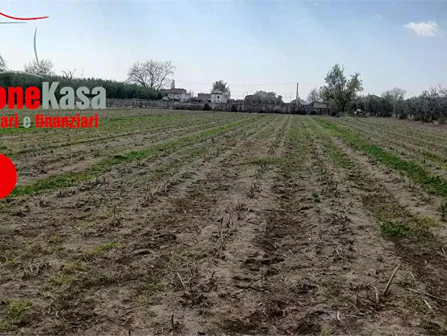 Immagine 4 di Terreno agricolo in vendita  in Via Polvica a Acerra