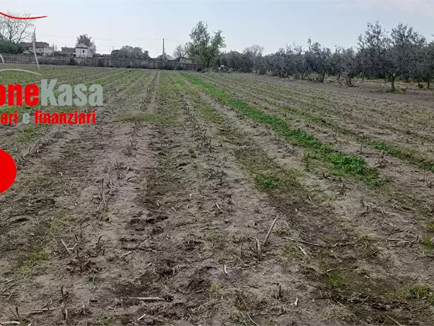 Immagine 3 di Terreno agricolo in vendita  in Via Polvica a Acerra