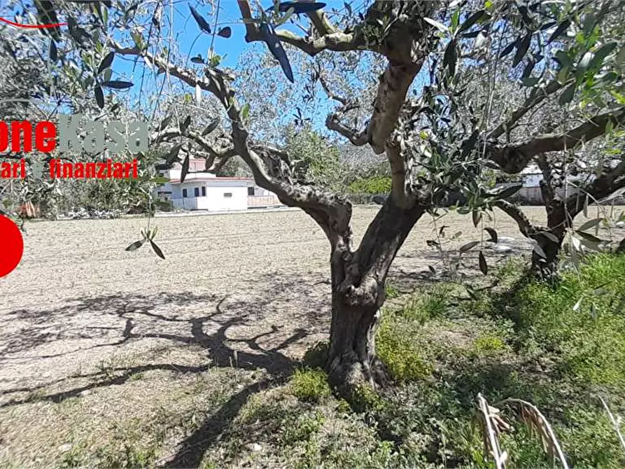 Immagine 5 di Terreno edificabile in vendita  in Via pezzalunga a Acerra