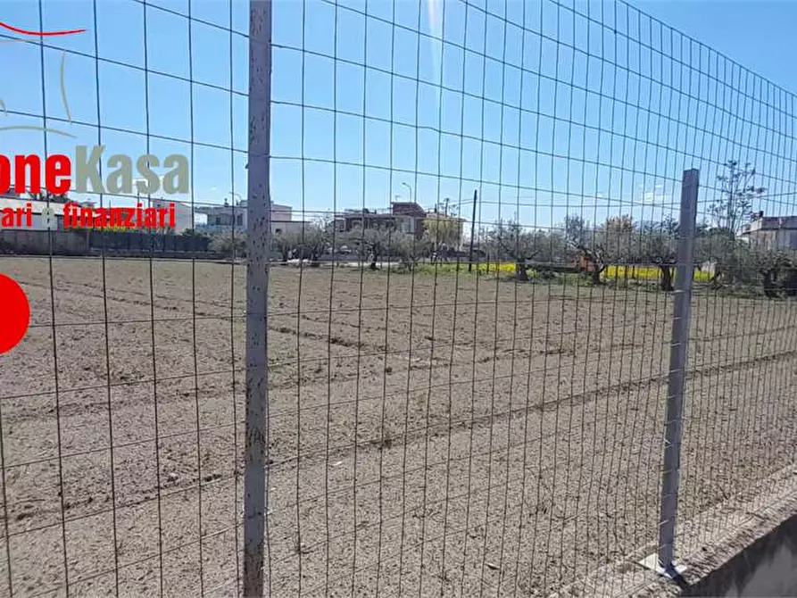 Immagine 8 di Terreno edificabile in vendita  in Via pezzalunga a Acerra