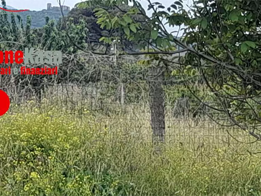 Immagine 1 di Terreno agricolo in vendita  in Via statale Appia a Maddaloni